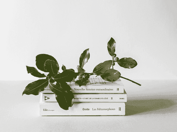 免费ddos压力测试平台