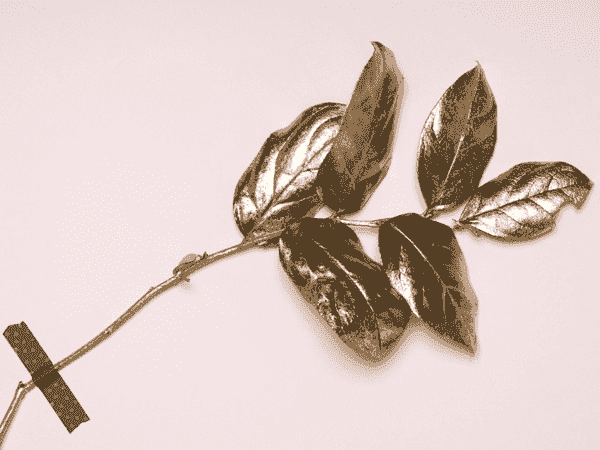 网络ddos监测分析工具